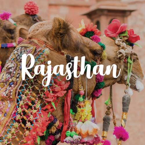 Rajasthan-thumb